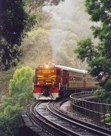 Cockatoo Run - Scenic Tour Train Operated By 3801 Limited - Tourism Caloundra 0