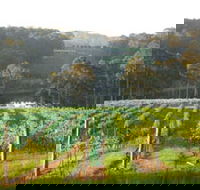 Tilba Valley Wines - Tourism Caloundra
