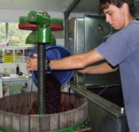 Fern Gully Winery - Tourism Caloundra
