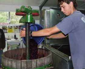 Fern Gully Winery - Tourism Caloundra 0