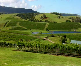 Crooked River Winery - Tourism Caloundra 0