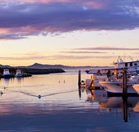 Bermagui Fishermens Wharf - Tourism Caloundra