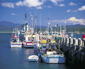 Snug Cove - Tourism Caloundra 0