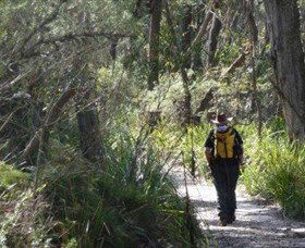 Barren Grounds Nature Reserve - Tourism Caloundra 0