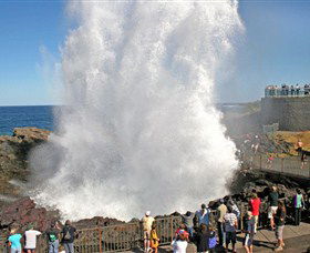 Kiama Blowhole - Tourism Caloundra 0