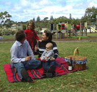 Blackbutt Forest Reserve - Tourism Caloundra