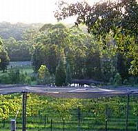 Lyrebird Ridge Organic Winery - Tourism Caloundra