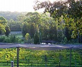 Lyrebird Ridge Organic Winery - Tourism Caloundra 0