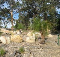 Curtis Park Arboretum - Tourism Caloundra