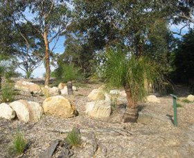 Curtis Park Arboretum - Tourism Caloundra 0