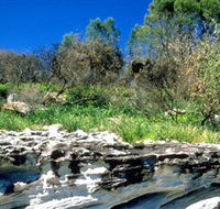 Abrahams Bosom Reserve - Tourism Caloundra
