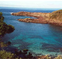 Bass Point Reserve - Tourism Caloundra