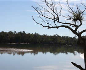 Boambee East NSW Tourism Caloundra