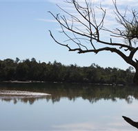 North Coast Holiday Parks Boambee Creek Reserve - Tourism Caloundra