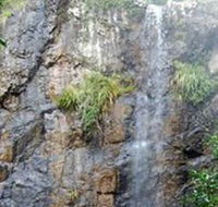 Wedding Bells Forest Drive - Tourism Caloundra