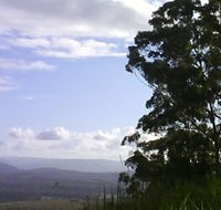 Sherwood Nature Reserve - Tourism Caloundra