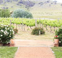 Brindabella Hills Winery - Tourism Caloundra