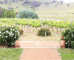 Brindabella Hills Winery - Tourism Caloundra 0
