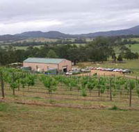Villa d Esta Vineyard - Tourism Caloundra