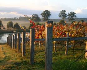 Roses Vineyard At Innes View - Tourism Caloundra 2