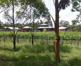 Roses Vineyard At Innes View - Tourism Caloundra 3