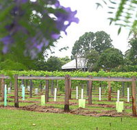 Douglas Vale Historic Homestead  Vineyard - Tourism Caloundra
