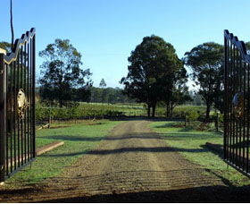 Moorebank Private Vineyard - Tourism Caloundra 3