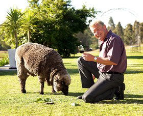 Moorebank Private Vineyard - Tourism Caloundra 2