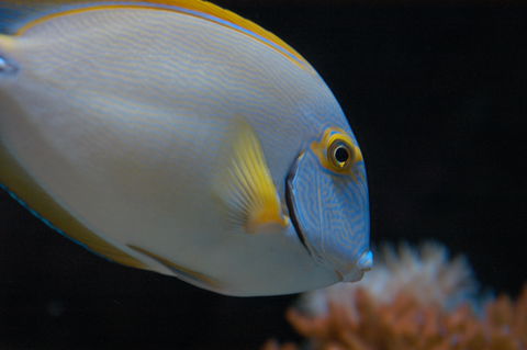 Solitary Islands Aquarium - Tourism Caloundra 3