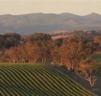 Angullong Wines - Tourism Caloundra