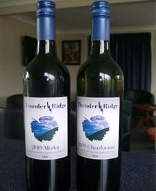 Tilbuster NSW Tourism Caloundra