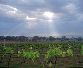 Thunder Ridge Wines - Tourism Caloundra 1