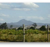 Ironbark Ridge Vineyard - Tourism Caloundra