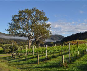 Sarabah Estate Vineyard - Tourism Caloundra 1