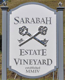 Sarabah Estate Vineyard - Tourism Caloundra 3