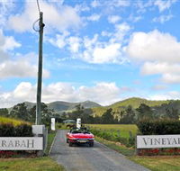 Sarabah Estate Vineyard - Tourism Caloundra