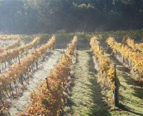 Twisted Gum Wines - Tourism Caloundra 1