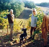 Mt Lofty Ranges Vineyard - Tourism Caloundra