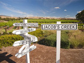Jacob's Creek Vineyard Tour - Tourism Caloundra 1