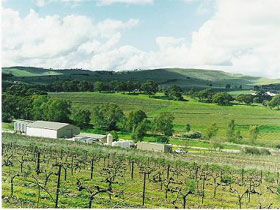 Stephen John Wines - Tourism Caloundra 2