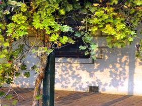 Wolseley SA Tourism Caloundra