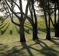 Henry's Drive Vignerons - Tourism Caloundra