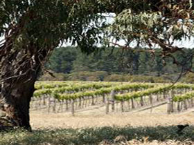 Wangolina Station - Tourism Caloundra 3