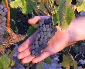 Litchfield VIC Tourism Caloundra