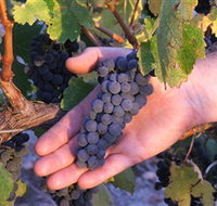 Eagles Rise Wine - Tourism Caloundra