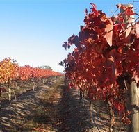 Kooyonga Creek Wines - Tourism Caloundra