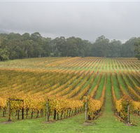 Boat O'Craigo Wines - Tourism Caloundra