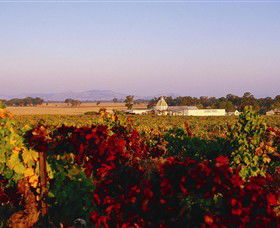 Morris Wines - Tourism Caloundra 0