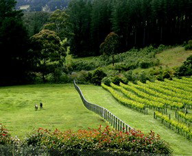 Prancing Horse Estate - Tourism Caloundra 2