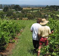 Sir Paz Estate - Tourism Caloundra